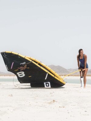 pc-kite-buddy-11031-002-2